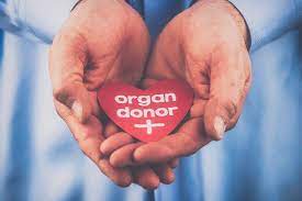 Finding a suitable donor becomes convenient