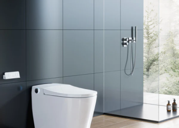 Toilet with Bidet: The Secret to a More Luxurious Bathroom Experience