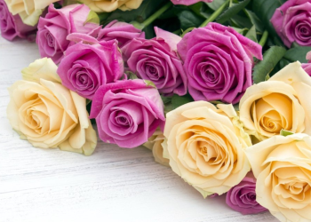 Giving the Perfect Flower Gift with Fun Flowers