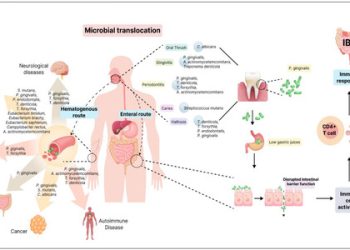 4 Steps To Optimize Your Oral Microbiome Balance At Home