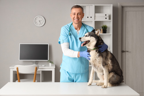 3 Signs Your Pet May Need Immediate Hospital Care