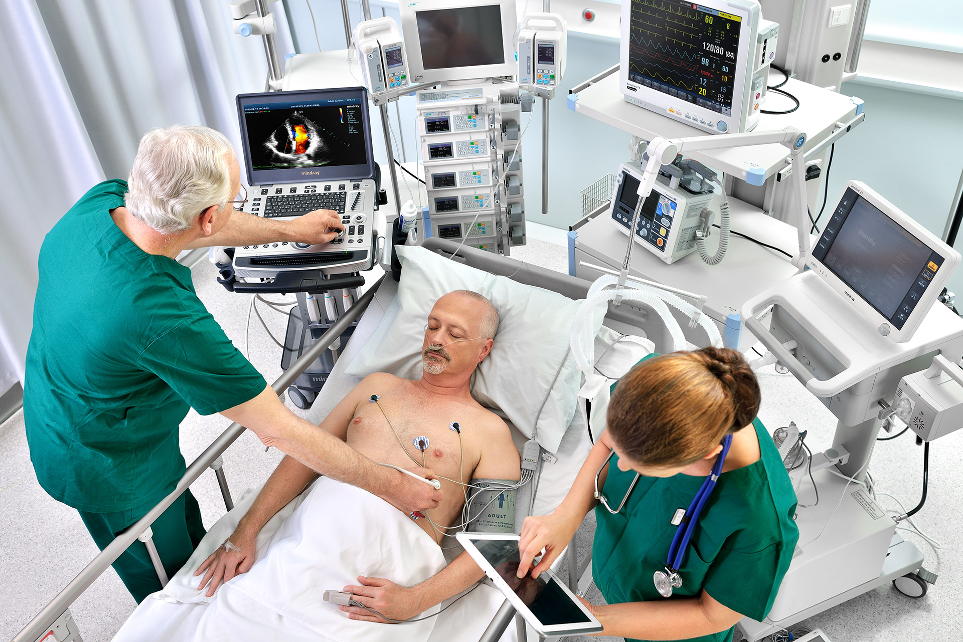 Leveraging Portable Ultrasound For Rapid Diagnosis In Animal Hospitals