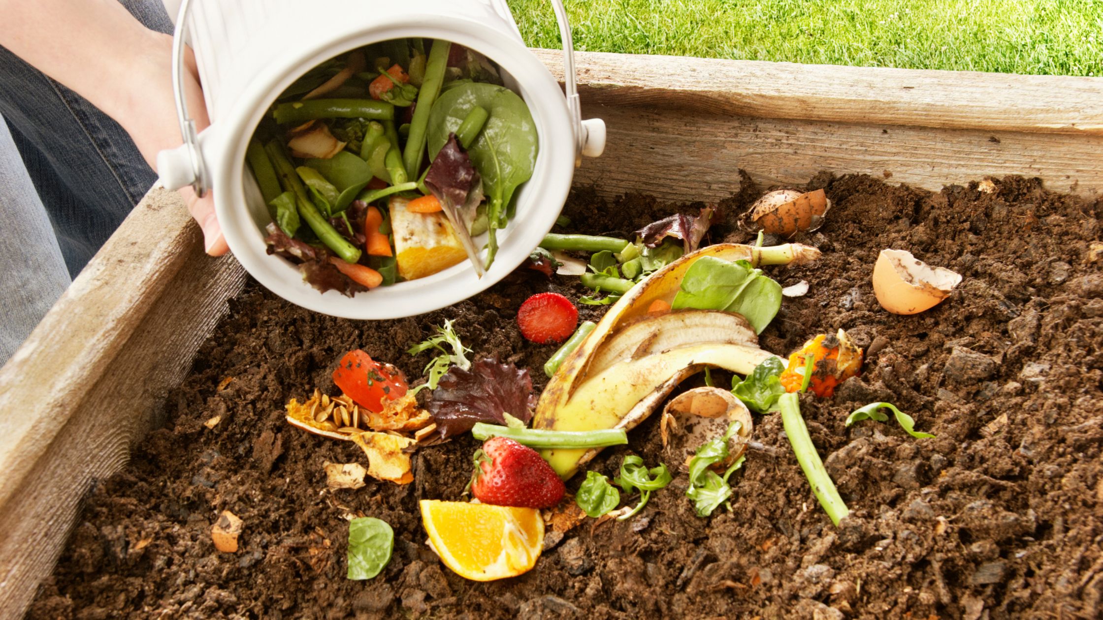 6 Composting Tips for Kitchen Waste